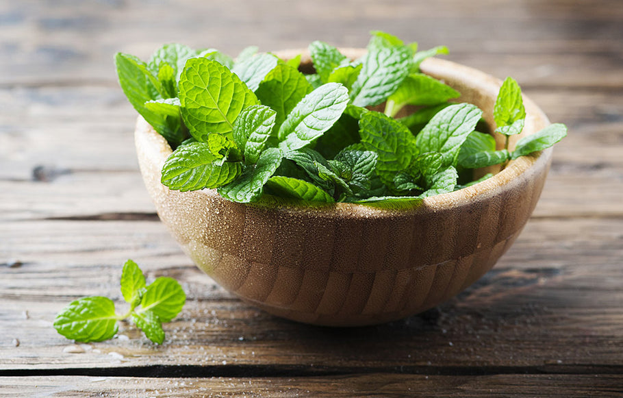10 Health Benefits of Pudina/Mint Leaves You Must Know